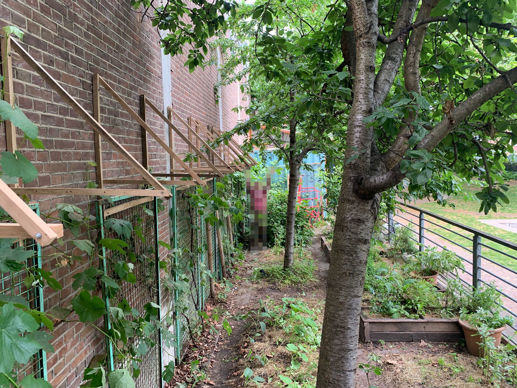 Serie of wooden triangles extending out of a brick wall, underneath them are trelisses with vines.